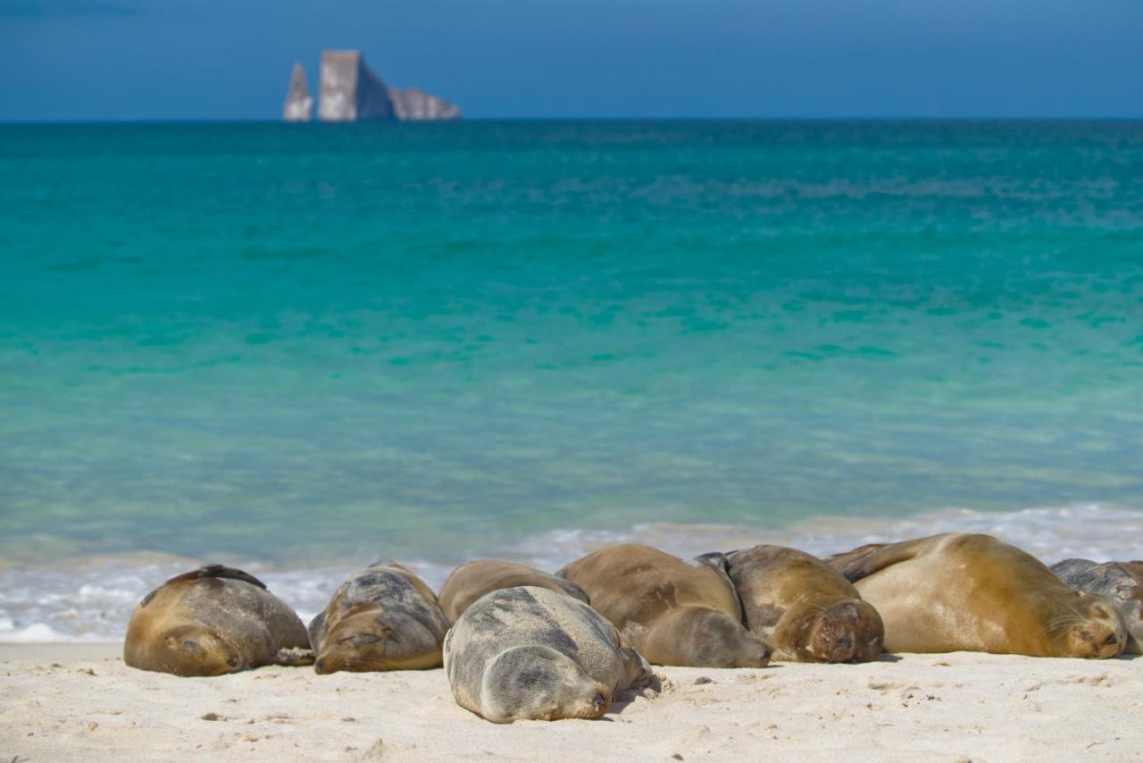 Suite Cielo, Discover The Magic Of Galapagos Puerto Baquerizo Moreno Ngoại thất bức ảnh